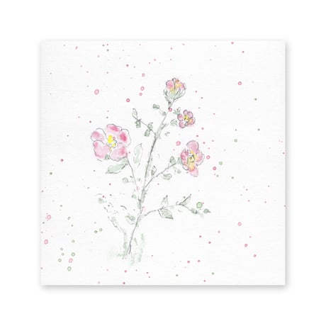 lumikka｜Correspondence-Botanica｜50