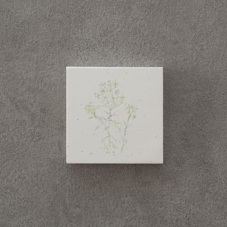 lumikka｜Correspondence-Botanica｜07