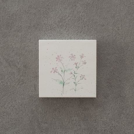 lumikka｜Correspondence-Botanica｜35