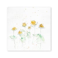 lumikka｜Correspondence-Botanica｜37