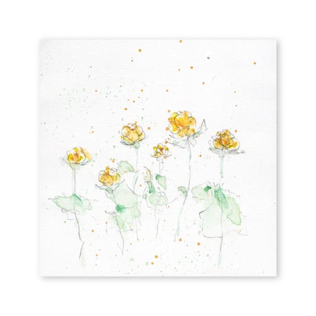 lumikka｜Correspondence-Botanica｜37