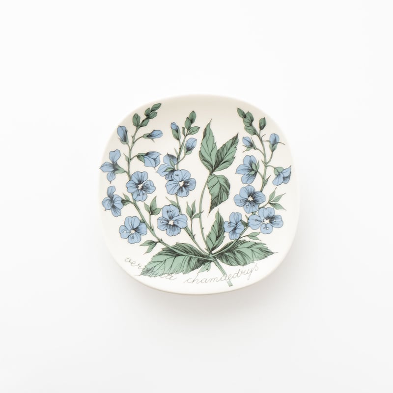 ARABIA エステリ ボタニカ /