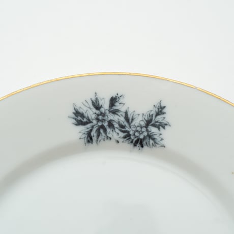 Arabia｜Astra｜plate φ17cm｜2