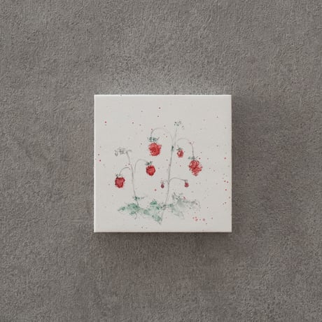 lumikka｜Correspondence-Botanica｜39
