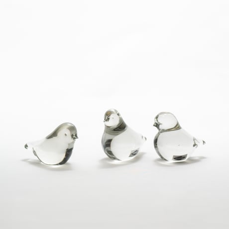 Nuutajarvi｜Jaakko Niemi｜bird｜3