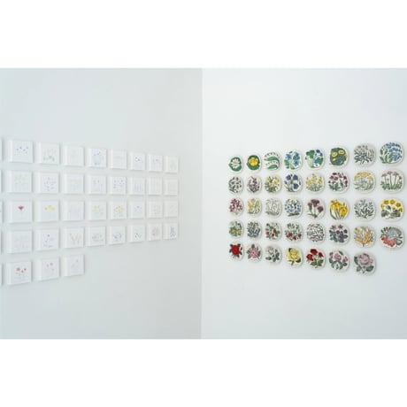 lumikka｜Correspondence-Botanica｜32