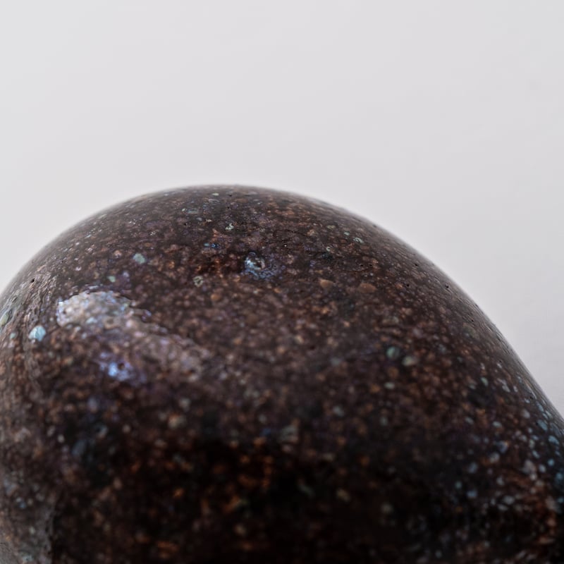 Nuutajarvi / Iittala｜Birds by Toikka｜Golden-Cre