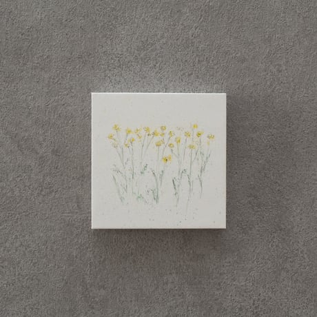 lumikka｜Correspondence-Botanica｜19