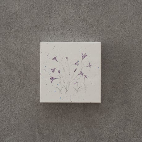 lumikka｜Correspondence-Botanica｜21
