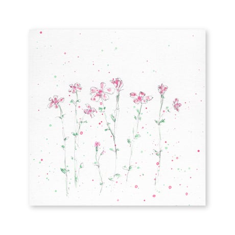 lumikka｜Correspondence-Botanica｜09
