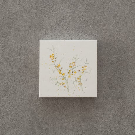 lumikka｜Correspondence-Botanica｜43