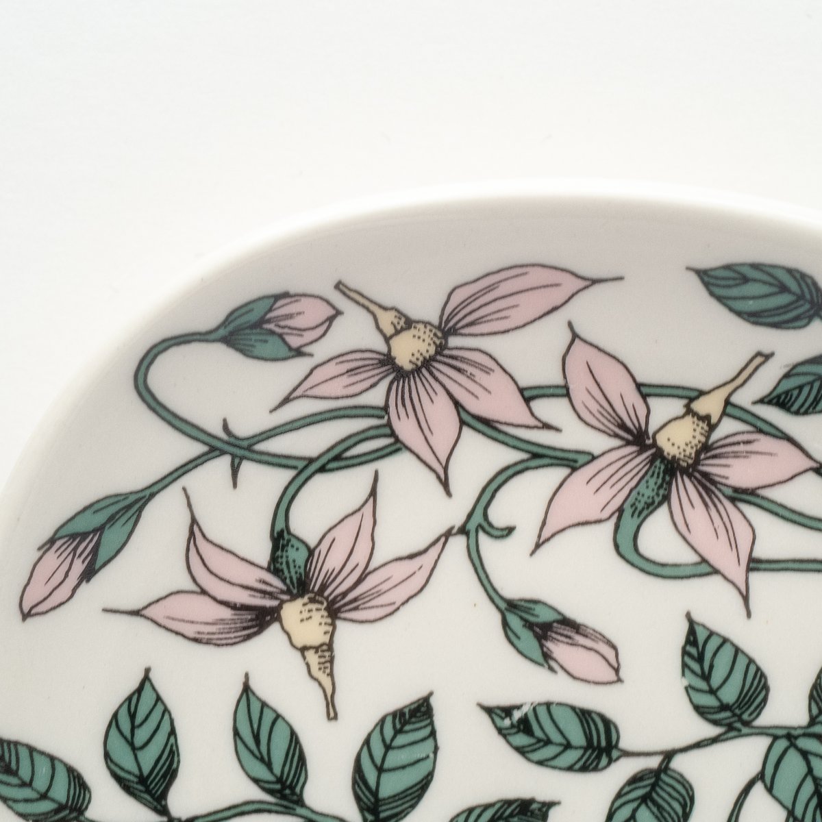 Botanica｜41｜クランベリー / Vaccinium oxycoccos | lumi