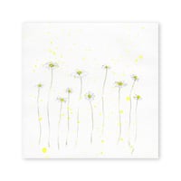 lumikka｜Correspondence-Botanica｜13