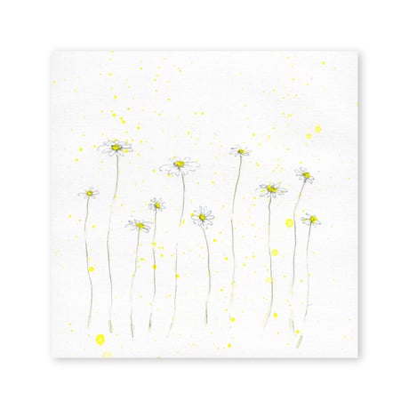lumikka｜Correspondence-Botanica｜13