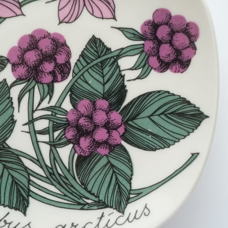Botanica｜42｜チシマイチゴ / Rubus arcticus