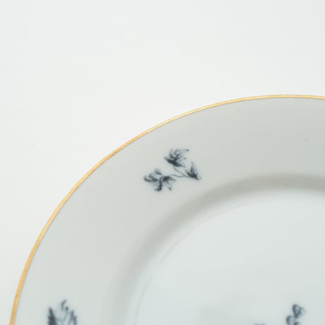 Arabia｜Astra｜plate φ17cm｜2