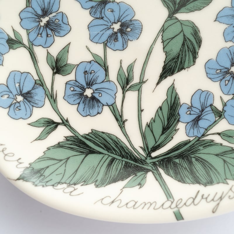 ARABIA エステリ ボタニカ /