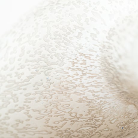 Nuutajarvi / Iittala｜Birds by Toikka｜ Winter Willow Grouse