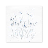 lumikka｜Correspondence-Botanica｜27