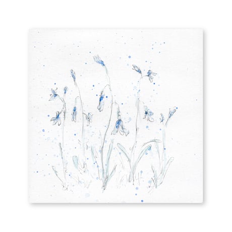lumikka｜Correspondence-Botanica｜27