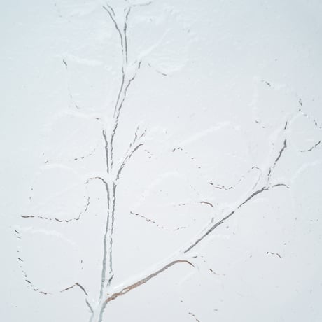 Humppila｜plate φ15.5cm｜birch｜1