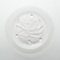 Nuutajarvi｜Pioni｜plate φ21cm