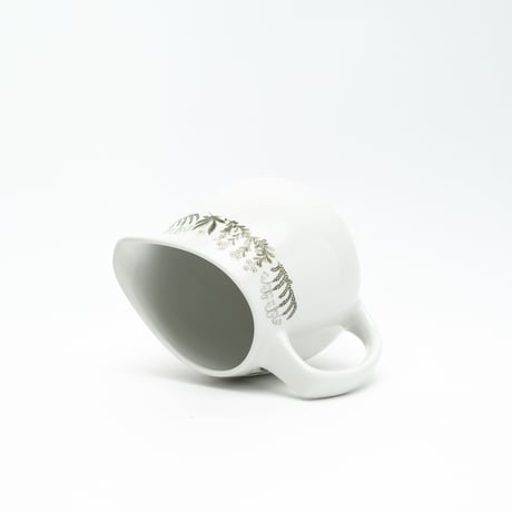 Arabia｜Polaris｜pitcher