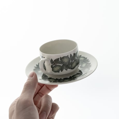 Arabia｜Citrus｜cup φ7.0cm