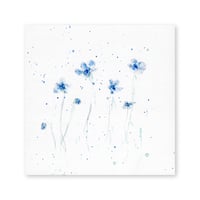 lumikka｜Correspondence-Botanica｜05