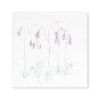 lumikka｜Correspondence-Botanica｜23
