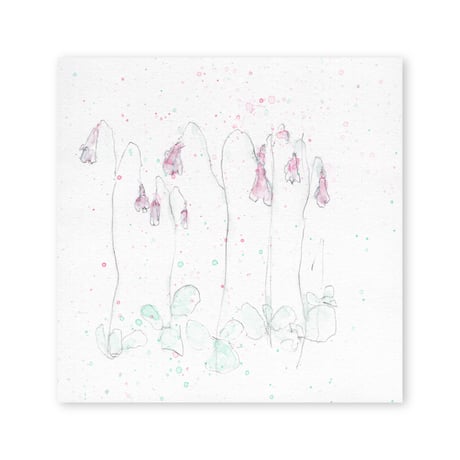 lumikka｜Correspondence-Botanica｜23