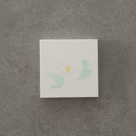 lumikka｜Correspondence-Botanica｜01