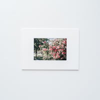 Finlandscape｜015