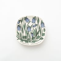 Botanica｜10｜イトシャジン / Campanula rotundifolia