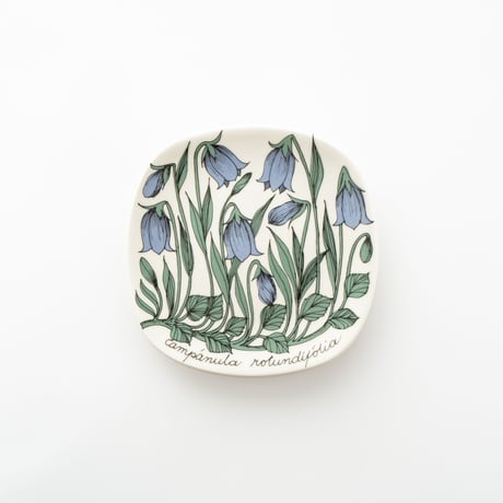 Botanica｜10｜イトシャジン / Campanula rotundifolia