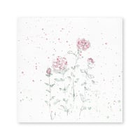 lumikka｜Correspondence-Botanica｜55
