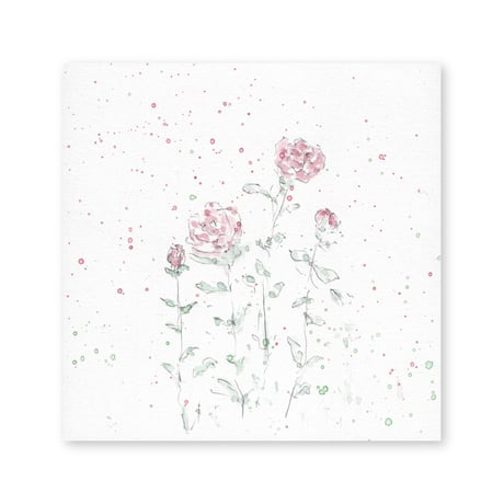 lumikka｜Correspondence-Botanica｜55