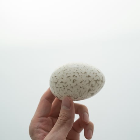Nuutajarvi / Iittala｜Birds by Toikka｜egg｜white