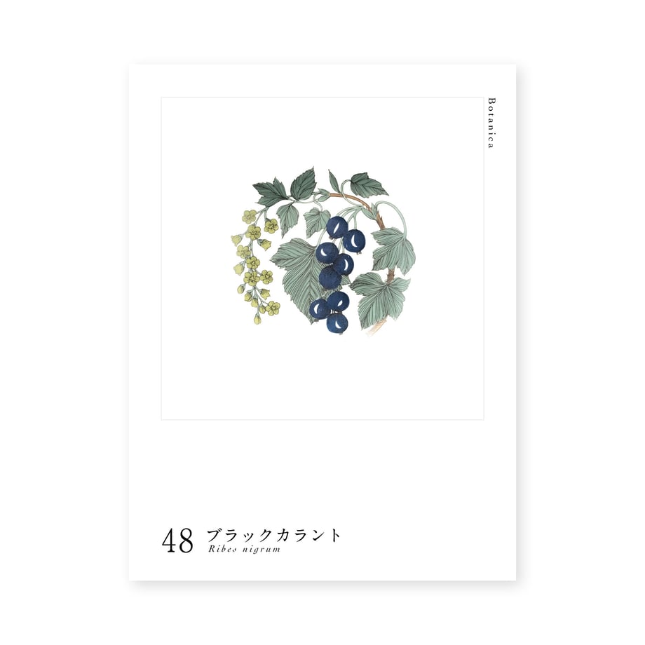 62f13ddebef381693f876905