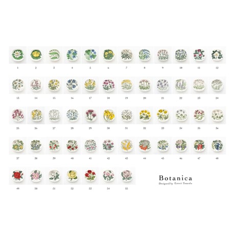 lumikka｜Correspondence-Botanica｜41