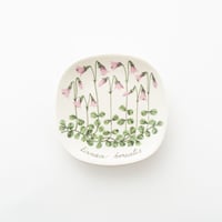 Botanica｜23｜リンネソウ / Linnaea borealis