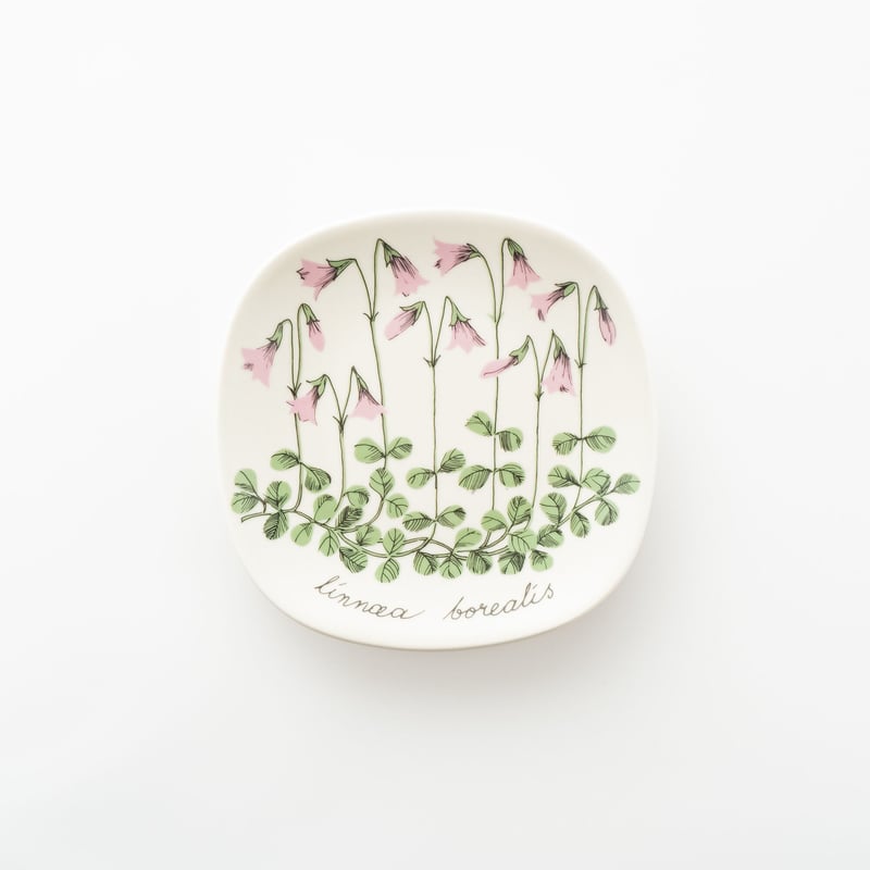 Botanica｜23｜リンネソウ / Linnaea borealis | lumikka