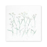 lumikka｜Correspondence-Botanica｜24