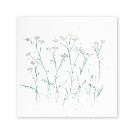 lumikka｜Correspondence-Botanica｜24