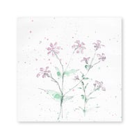 lumikka｜Correspondence-Botanica｜35