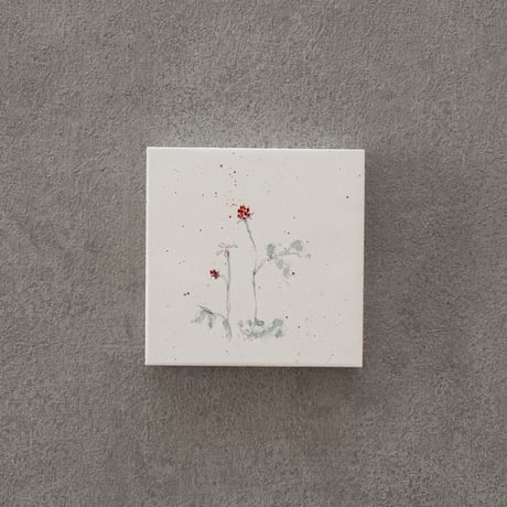 lumikka｜Correspondence-Botanica｜42