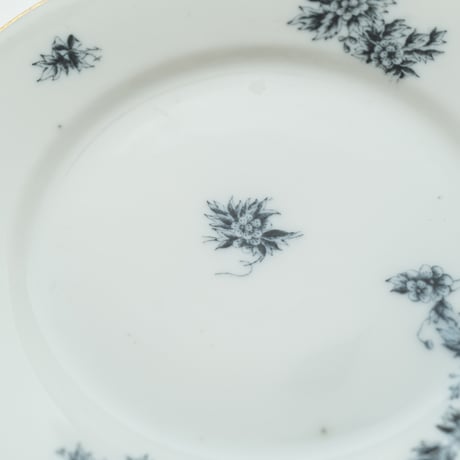 Arabia｜Astra｜plate φ17cm