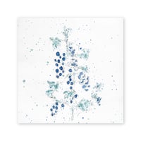 lumikka｜Correspondence-Botanica｜48