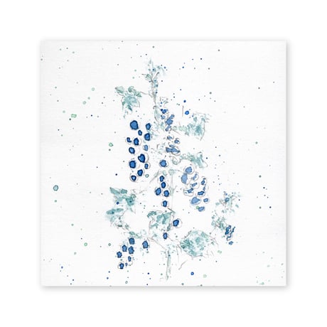 lumikka｜Correspondence-Botanica｜48