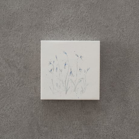 lumikka｜Correspondence-Botanica｜27